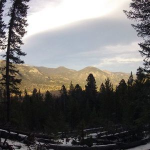 Meet your Posher, Colin